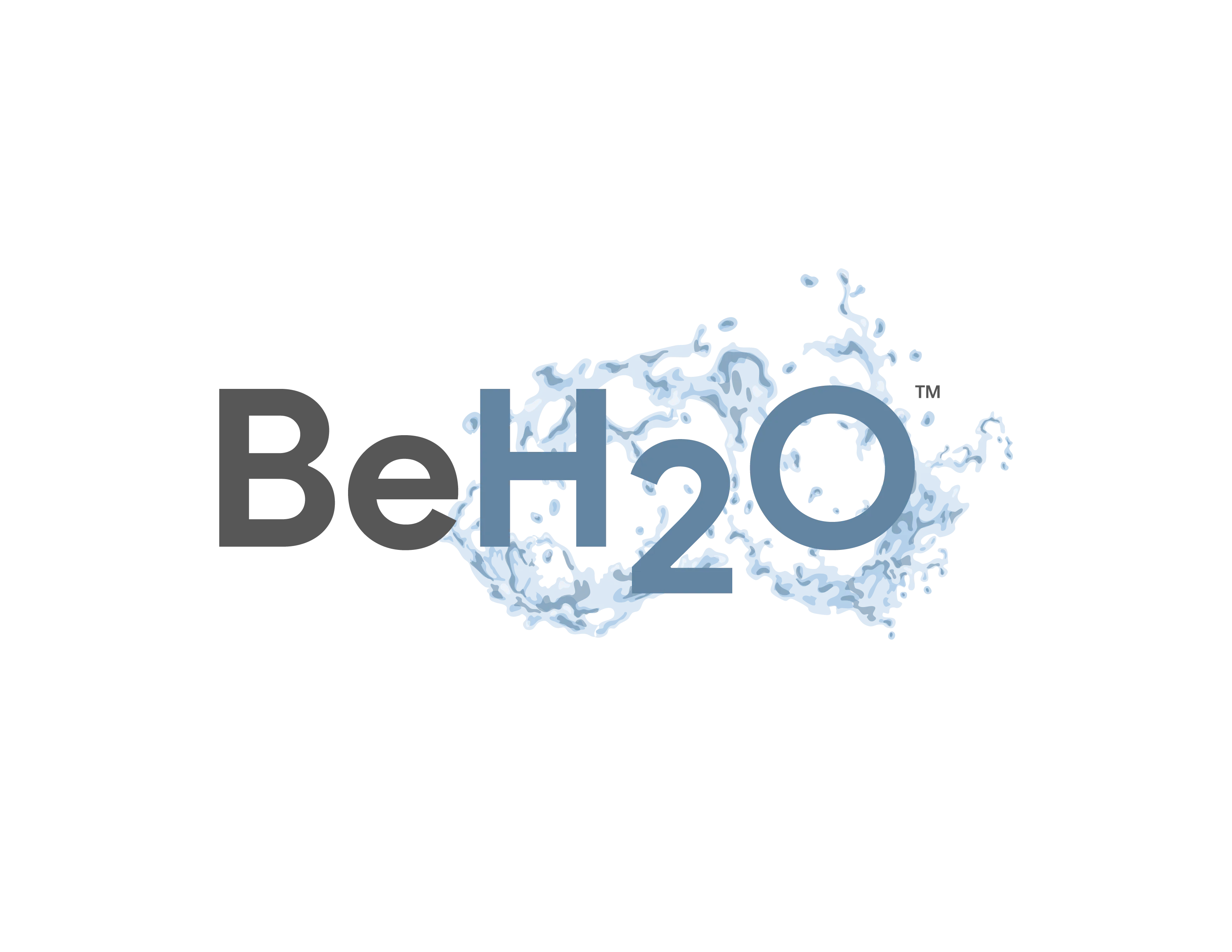 BeH2O Methodology